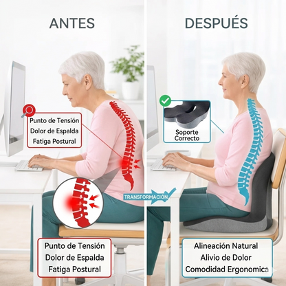 NEXO COMFORT ALIGN® Bestseller in Postural Comfort
